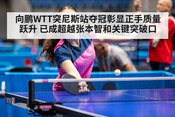 向鹏WTT突尼斯站夺冠彰显正手质量跃升 已成超越张本智和关键突破口